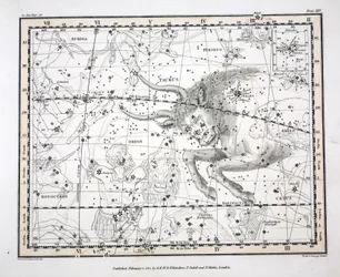 Les Constellations (Planche XIV) Taureau, de 